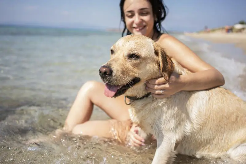 325815 800x534 woman with dog at beach