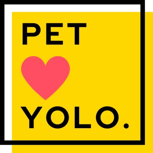 IT Pet YOLO