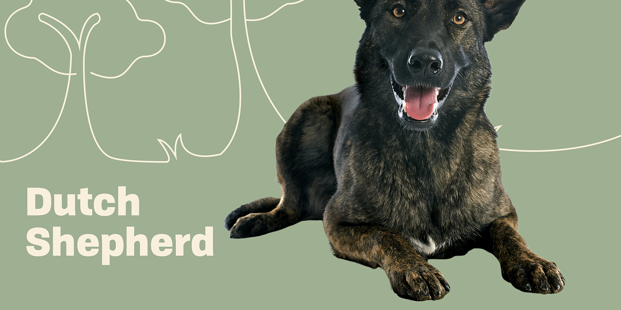 Targa attenti al cane - Pastore tedesco