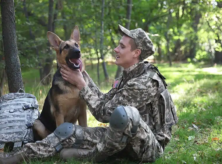 Militarhund