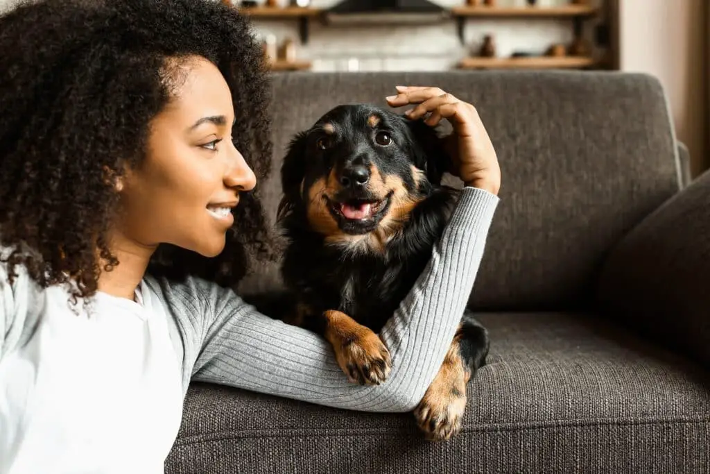 190983 AdobeStock 259677396 Beautiful AfricanAmerican woman with cute dog at home min min 1 1