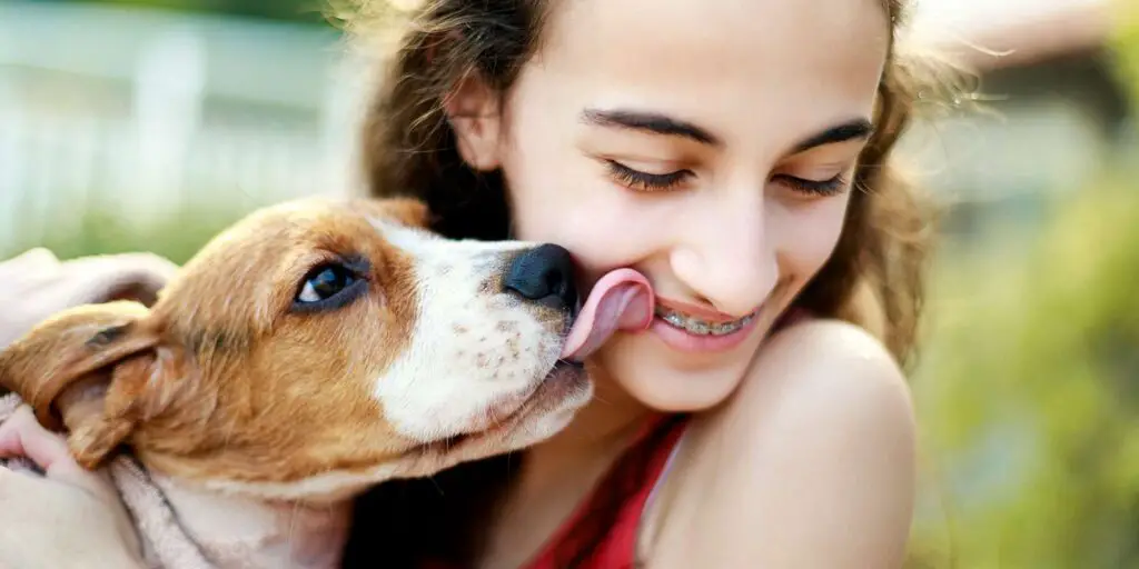beagle kissing girl 1131170678 2000