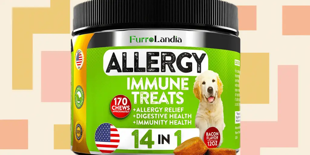 allergy medicine for dogs