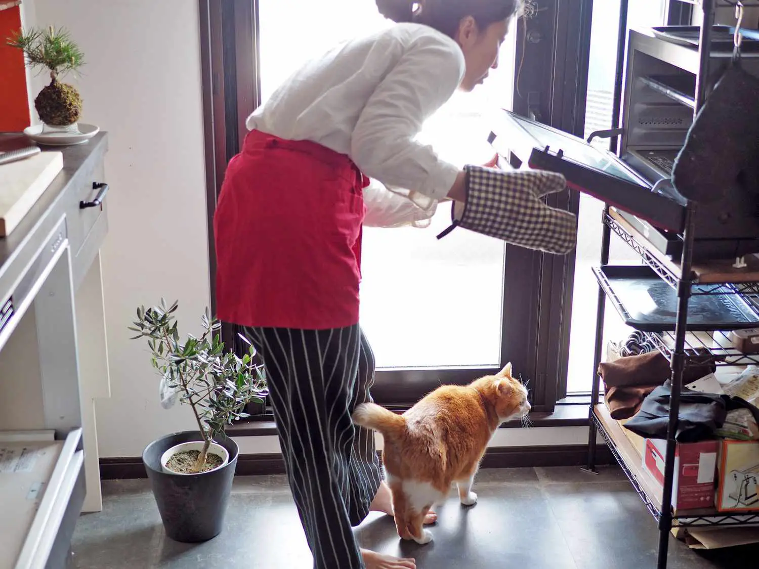 donna che apre la porta del forno con il gatto rosso ai suoi piedi