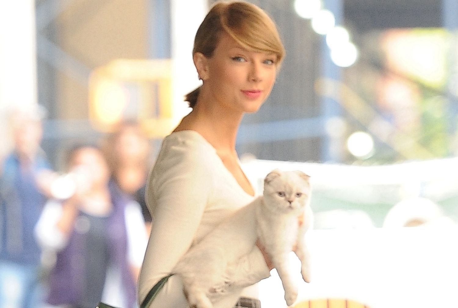 Taylor Swift tiene in braccio un gatto bianco mentre cammina per strada