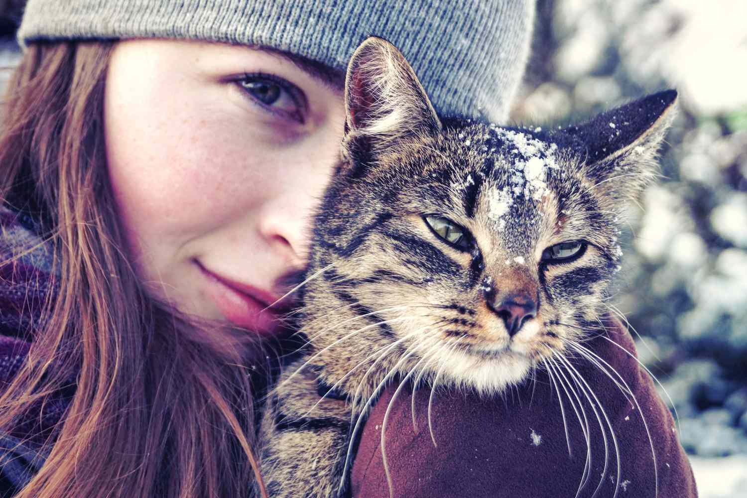 donna che indossa un cappello invernale che tiene un gatto con la neve in testa
