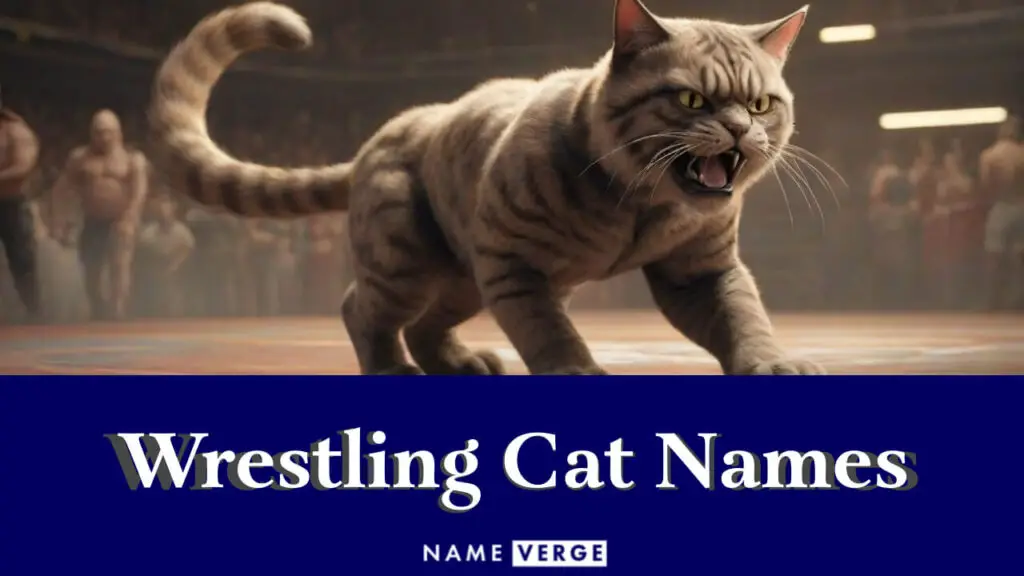 1703240257 wrestling cat names