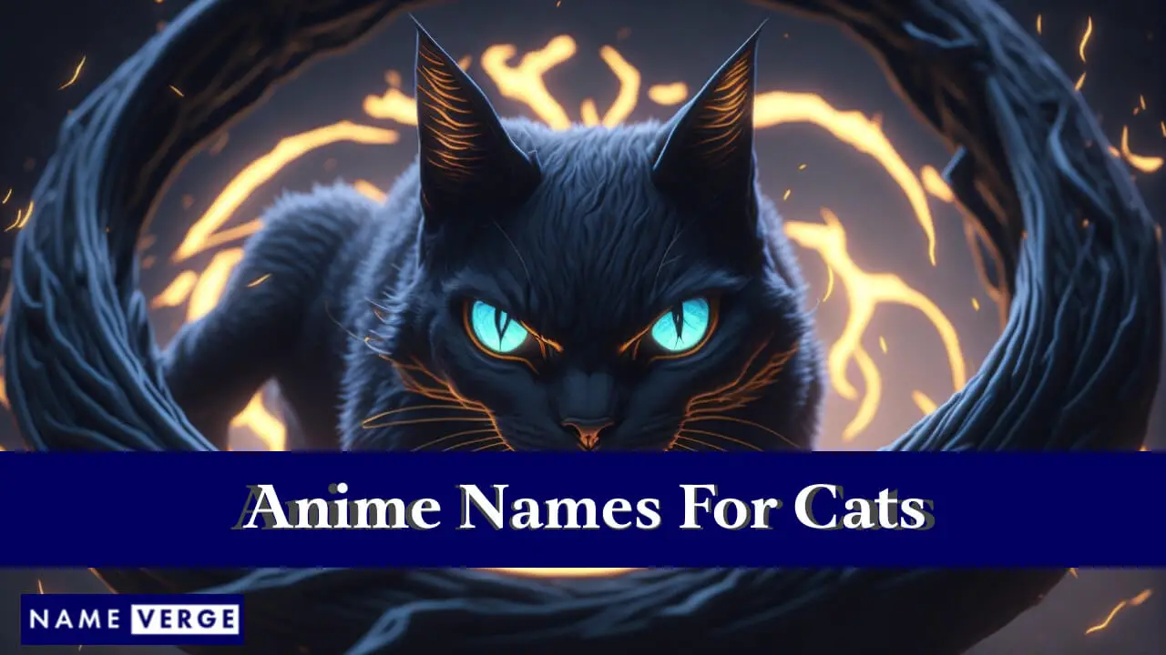 Nomi di gatti dagli anime