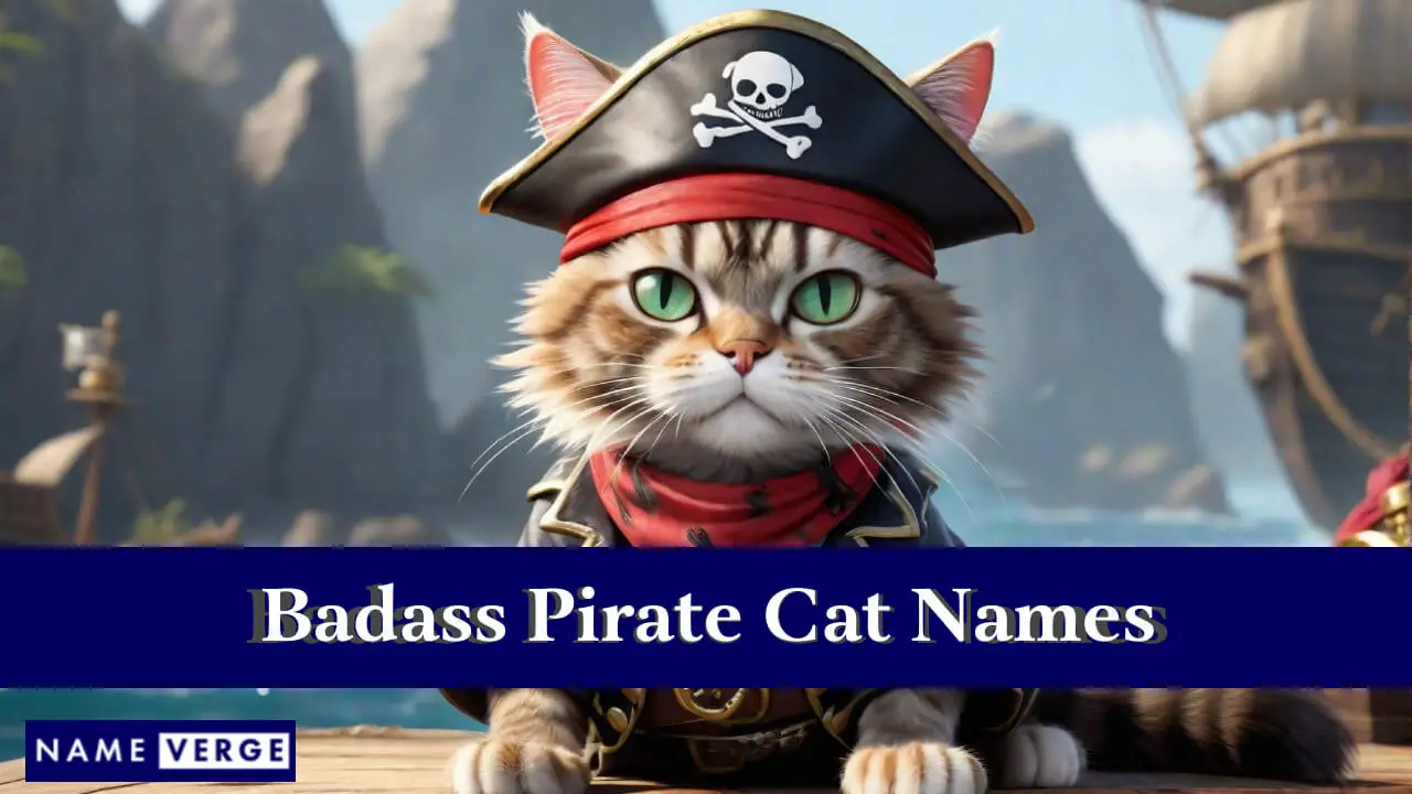 Nomi di gatti pirata tosti