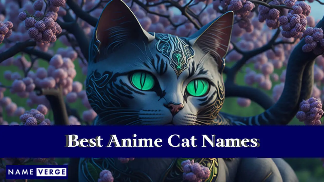 I migliori nomi di gatti anime