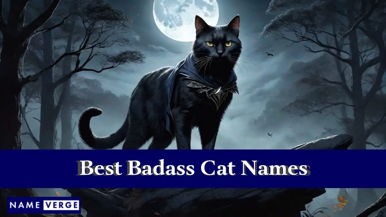 I migliori nomi di gatti tosti