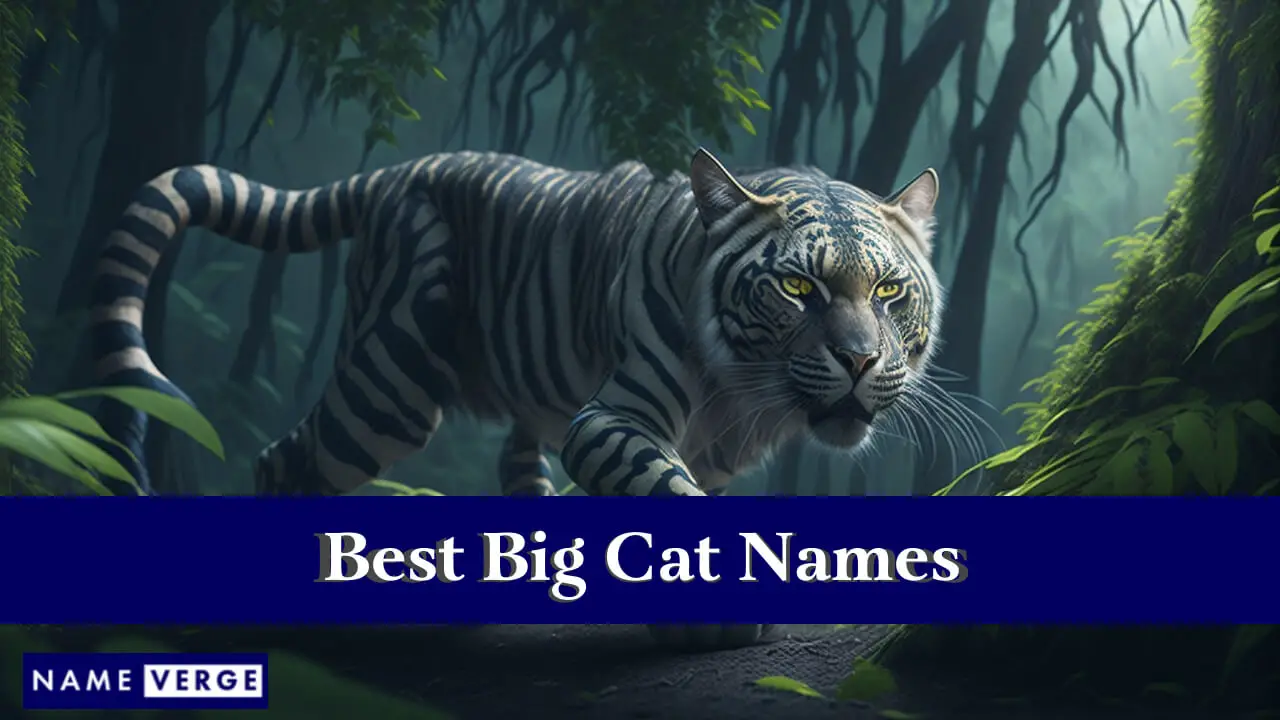 I migliori nomi di grandi felini