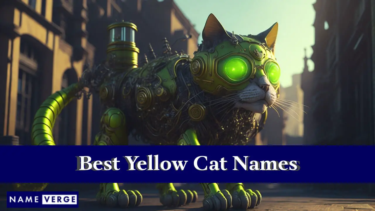 I migliori nomi di gatti gialli