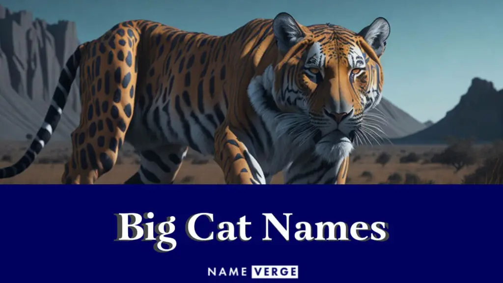 big cat names