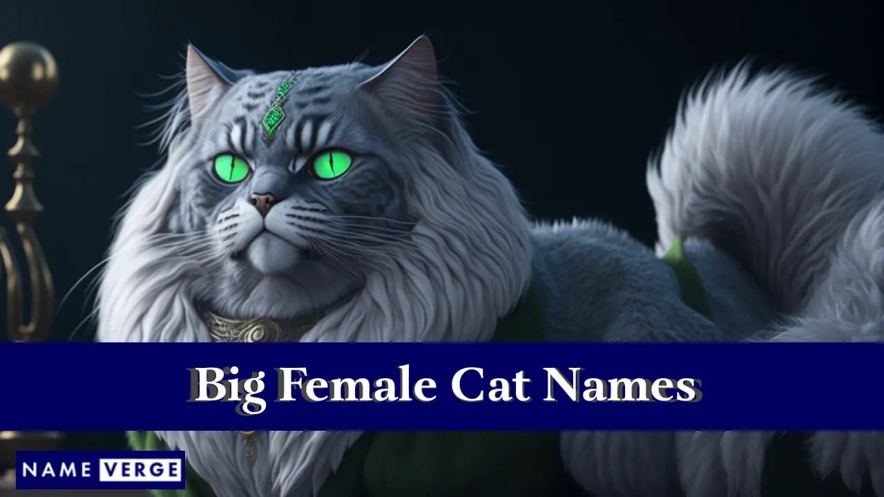 Nomi di grandi gatti femmine