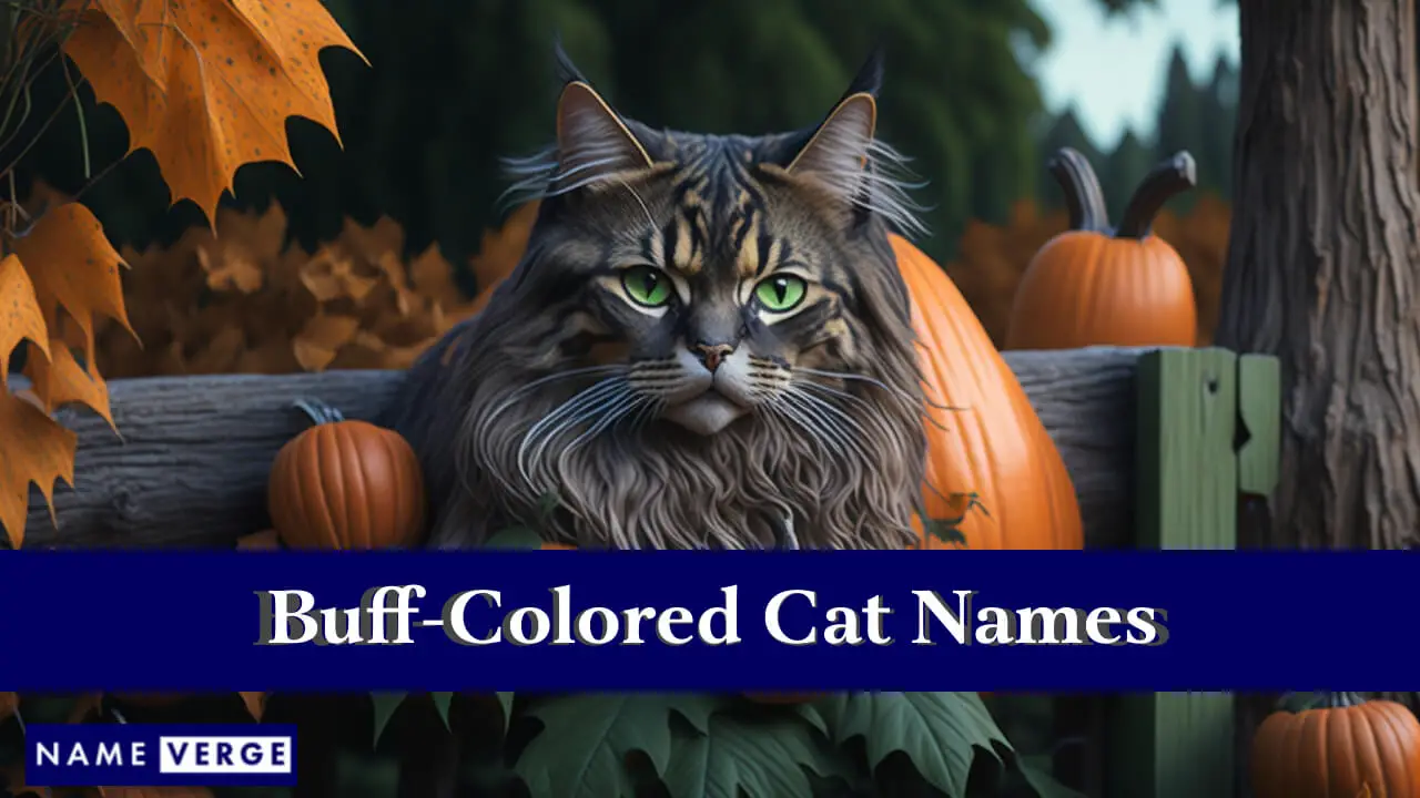 Nomi di gatti color cuoio