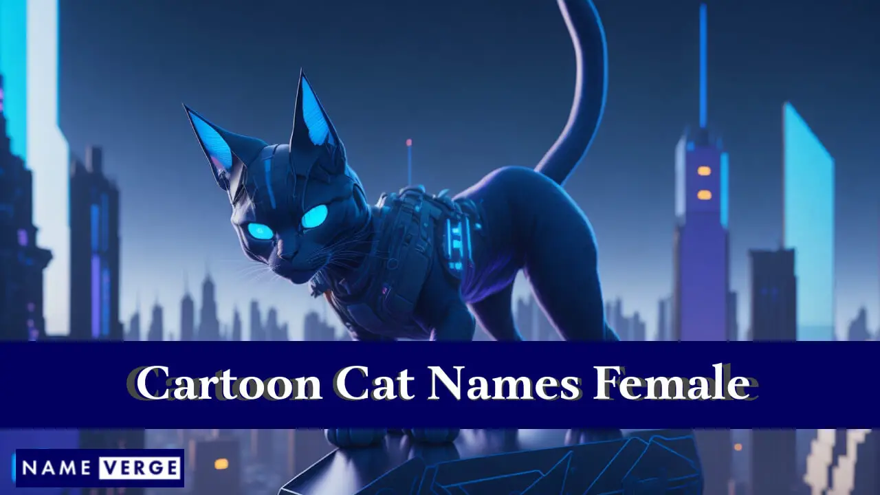 Nomi di gatto dei cartoni animati femminili