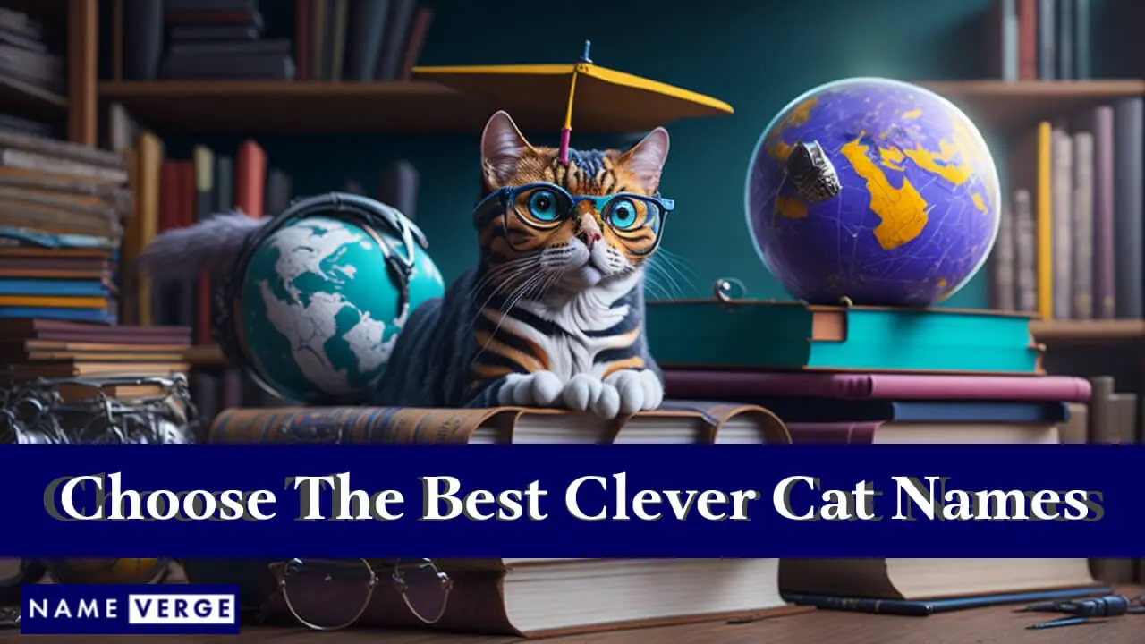 Suggerimenti per scegliere i migliori nomi di gatti intelligenti