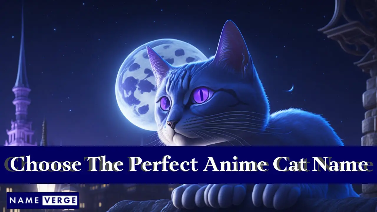 Suggerimenti per scegliere i nomi di gatti anime perfetti