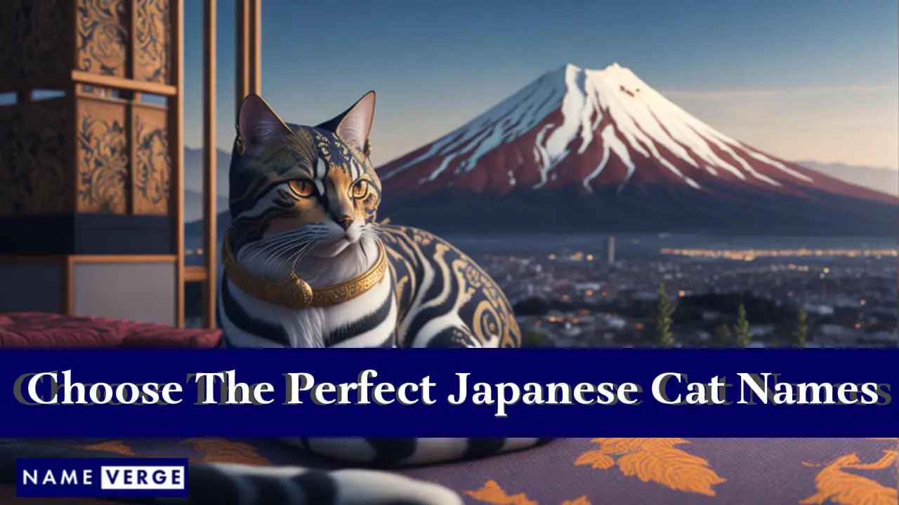 Come scegliere i nomi di gatti giapponesi perfetti