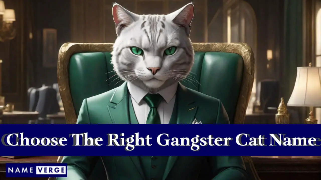 Suggerimenti su come scegliere il nome giusto per il gatto gangster