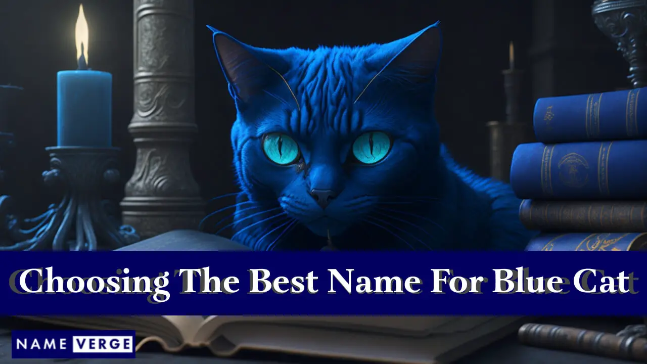 Suggerimenti per scegliere il nome perfetto per il tuo gatto blu