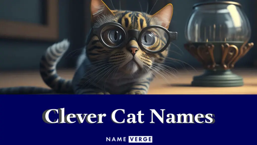 clever cat names