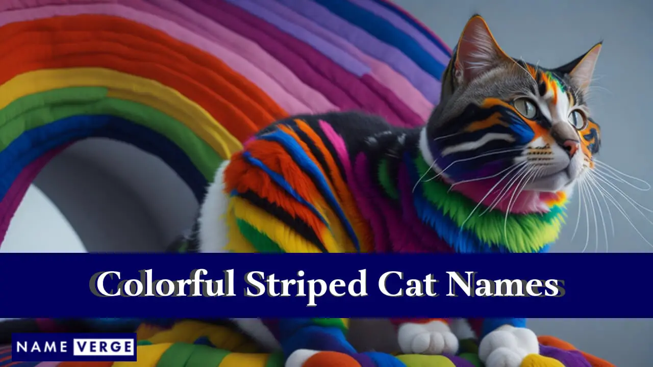 Nomi di gatti a strisce colorate