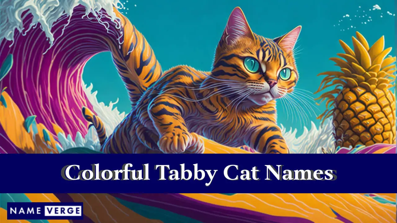 Nomi colorati per gatti soriani