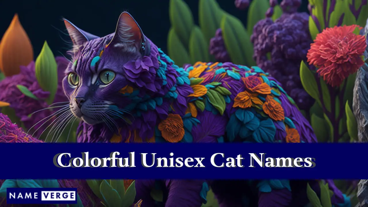 Nomi di gatti unisex colorati