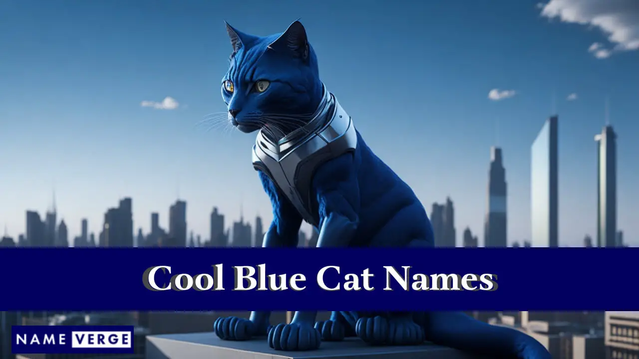 Nomi di gatti blu fantastici