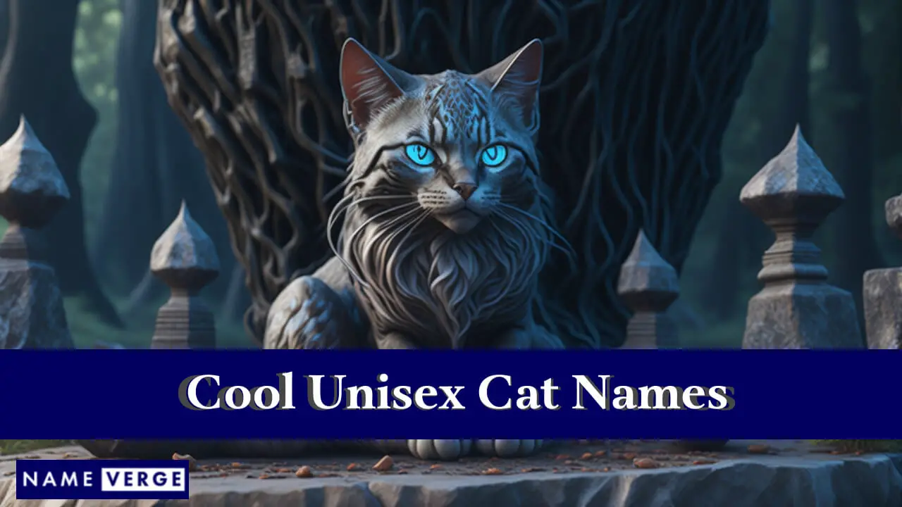 Nomi di gatti unisex fantastici