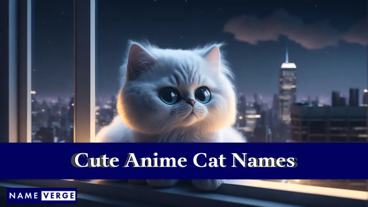 Nomi di gatti anime carini