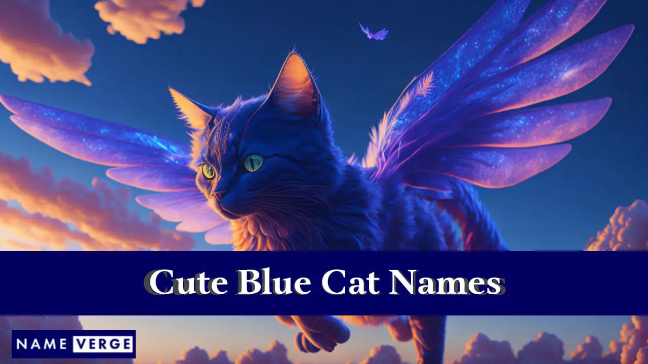 Nomi di gatti blu carini
