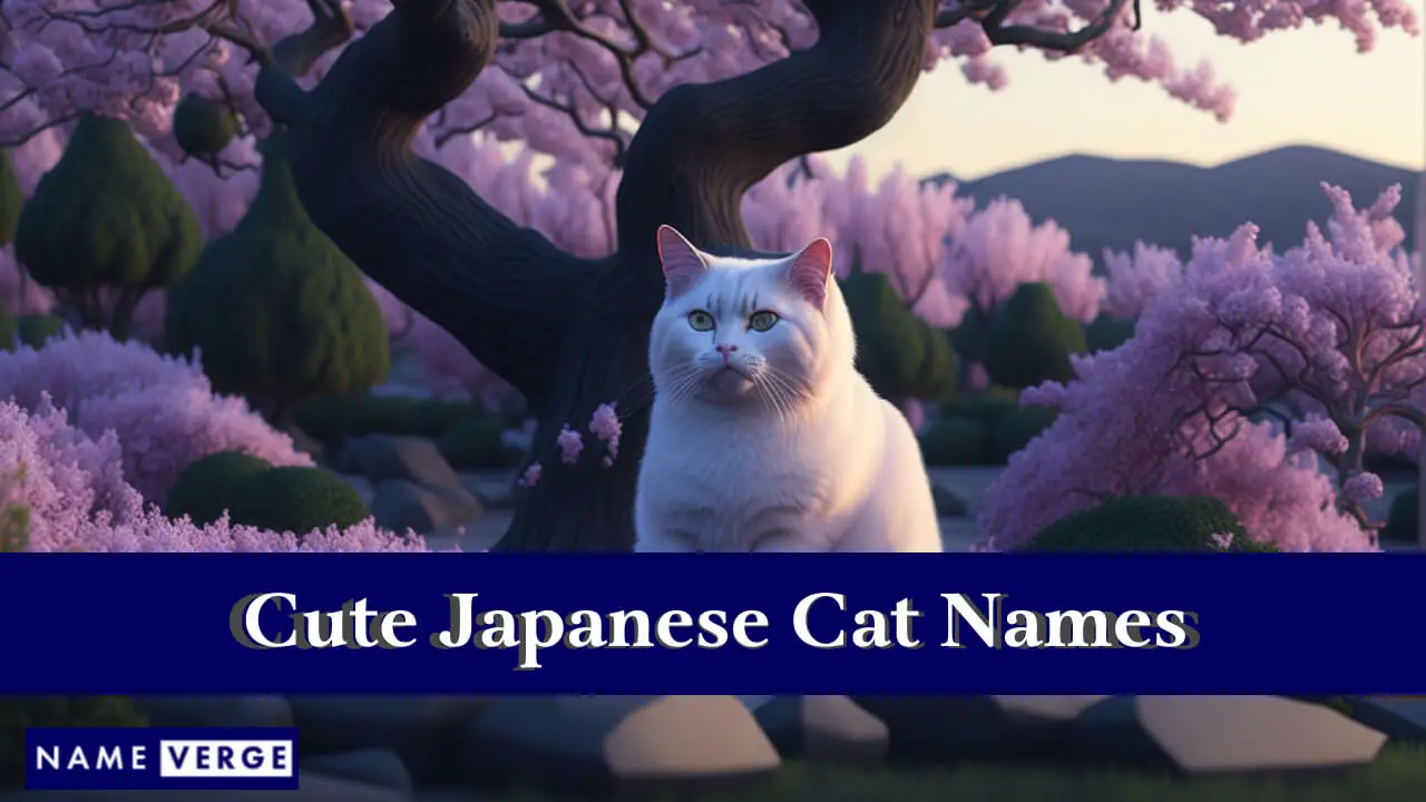 Nomi di gatti giapponesi carini