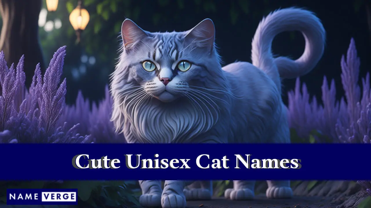 Nomi di gatti unisex carini