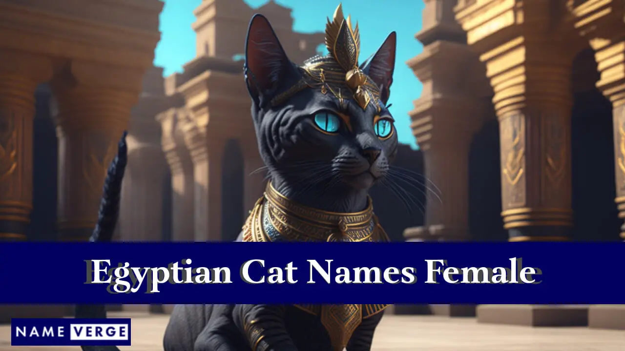 Nomi di gatti egiziani femminili