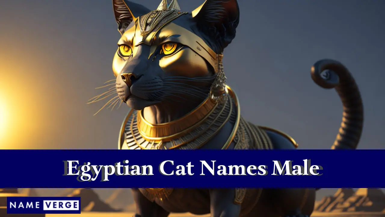 Nomi di gatti egiziani maschi