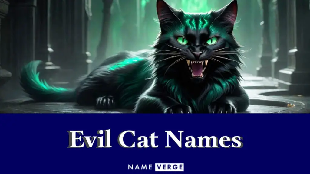 evil cat names