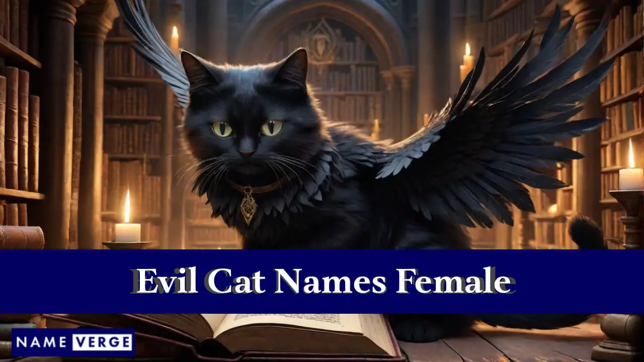 I gatti malvagi danno nomi femminili