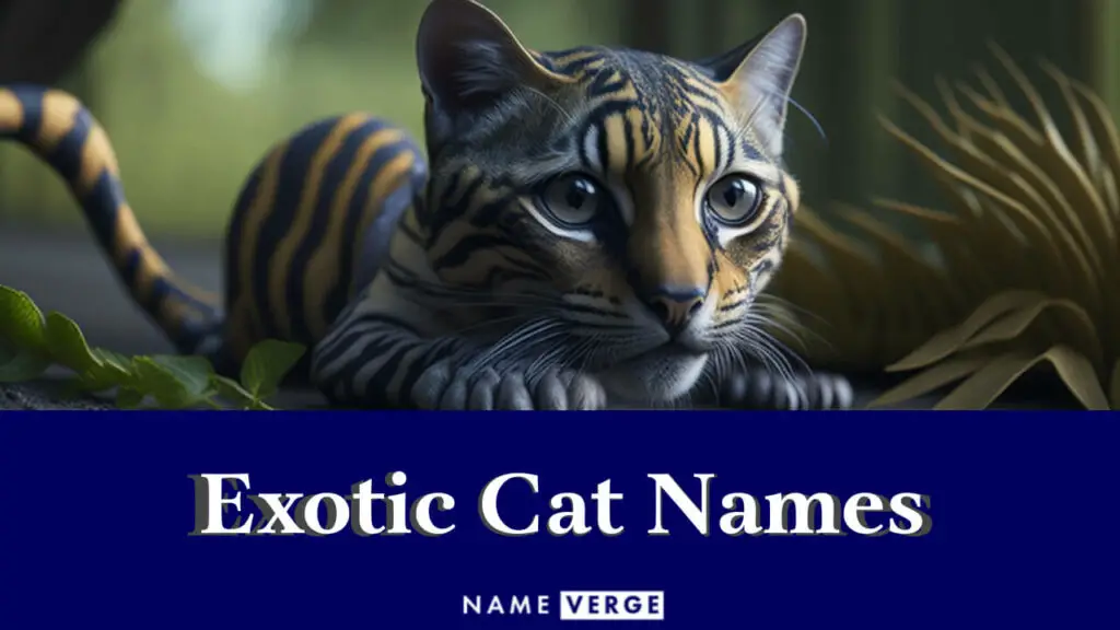 exotic cat names