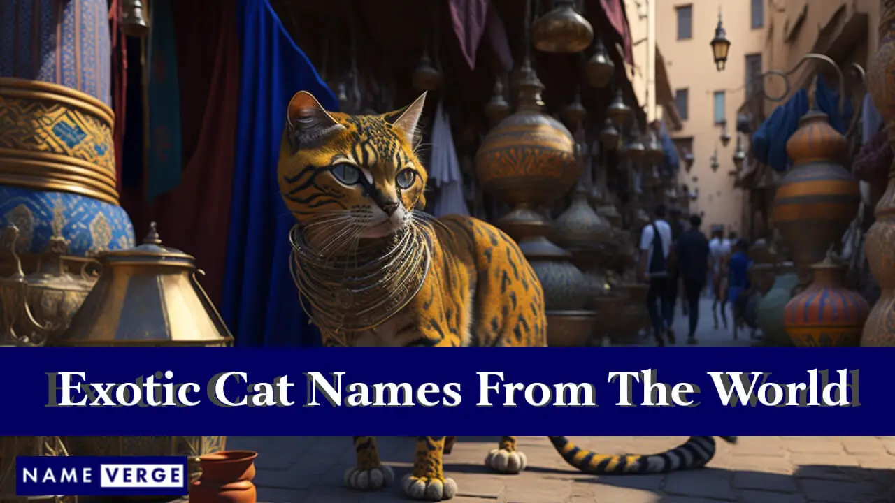 Nomi di gatti esotici dal mondo