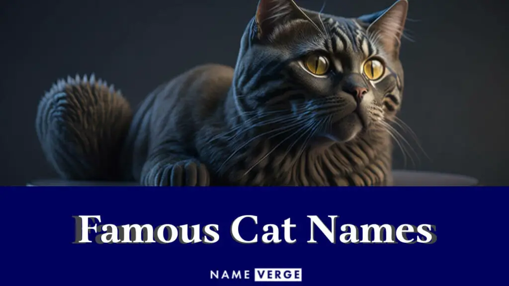 famous cat names