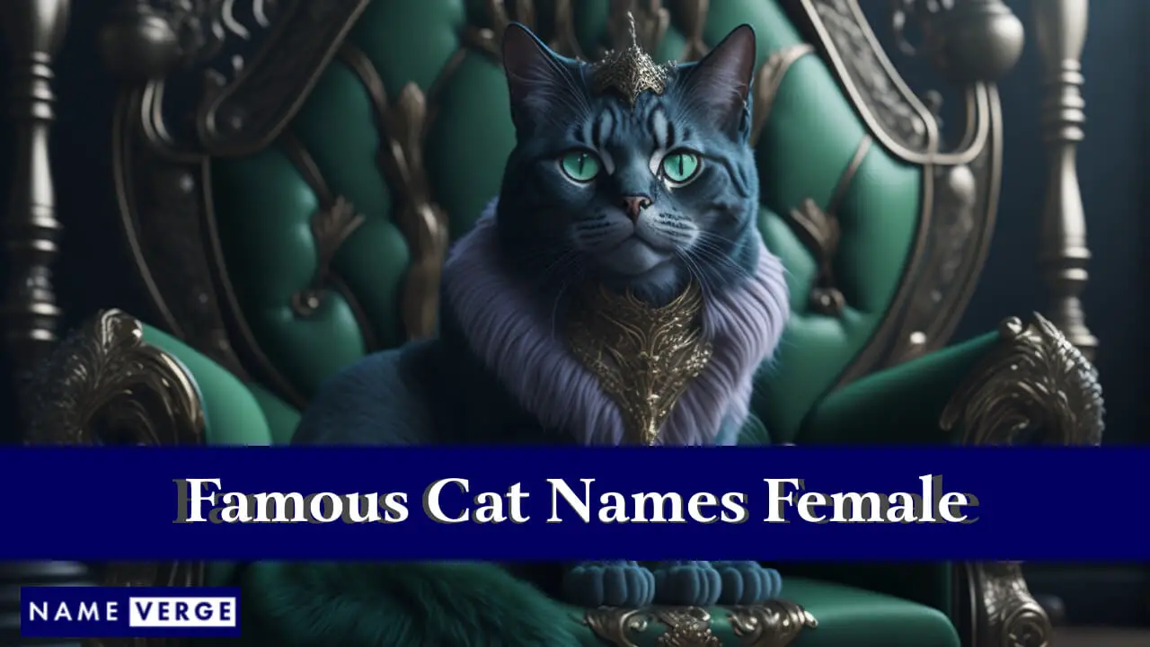 Nomi di gatti famosi femminili