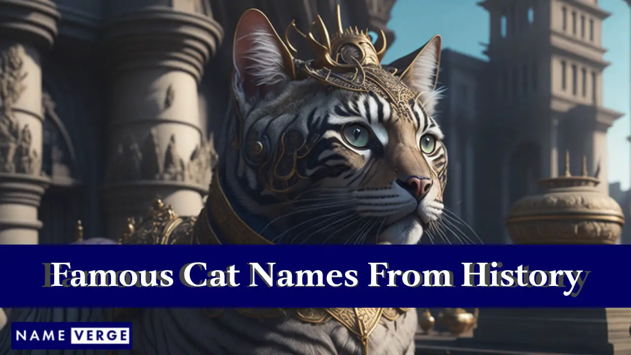 Nomi di gatti famosi dalla storia