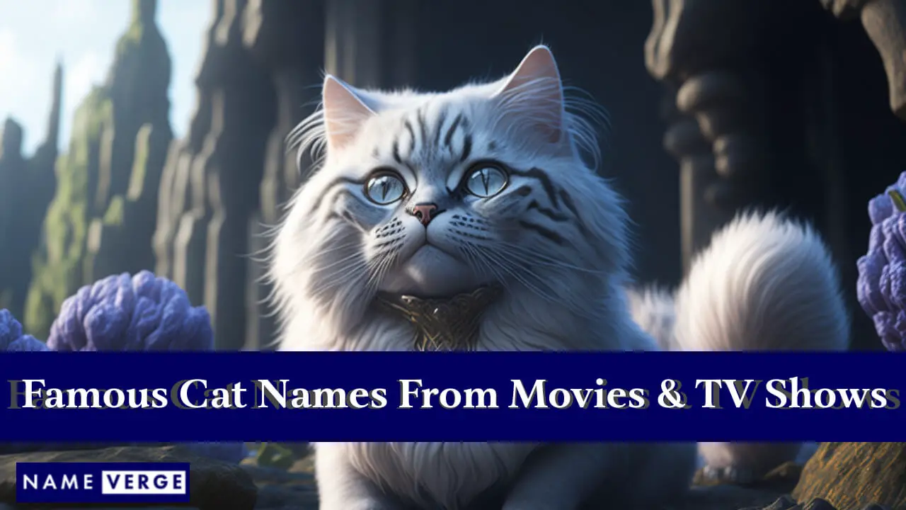 Nomi di gatti famosi da film e programmi TV