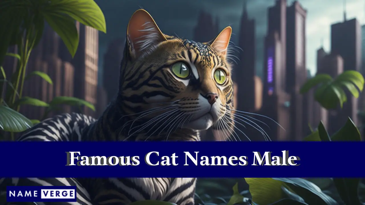 Nomi famosi per gatti maschi