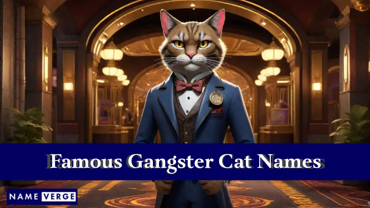Nomi famosi di gatti gangster