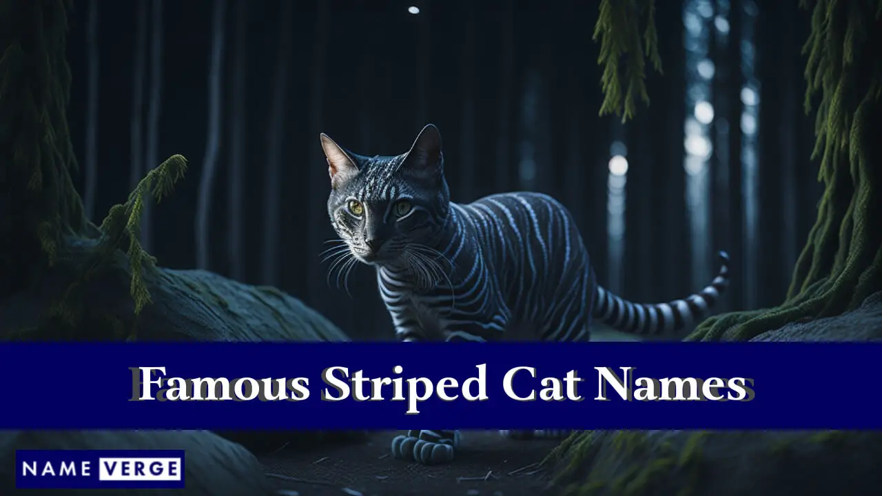 Nomi famosi di gatti a strisce