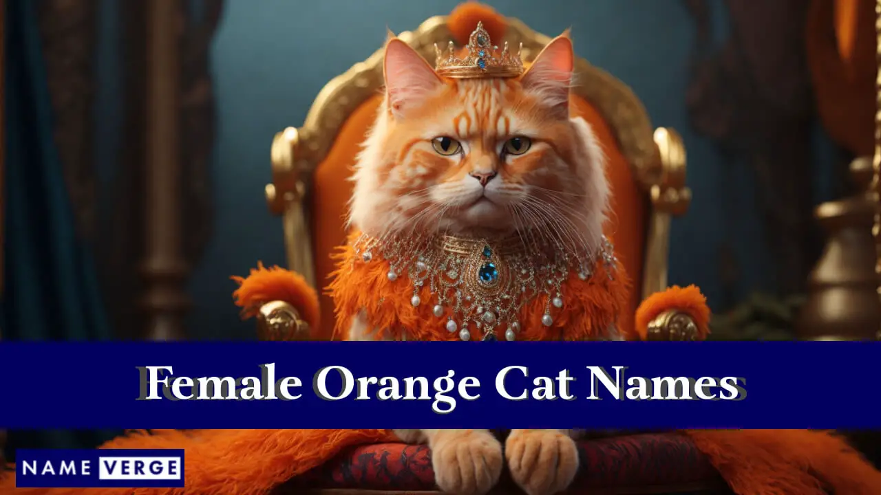Nomi di gatti femminili arancioni